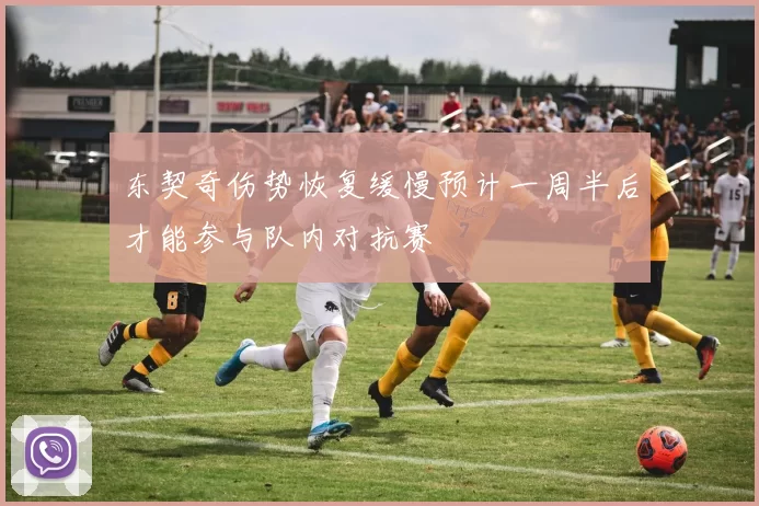 东契奇伤势恢复缓慢预计一周半后才能参与队内对抗赛