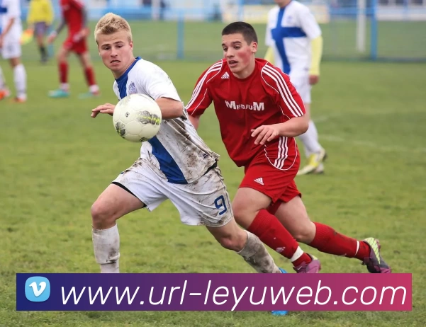 多媒体互动体验